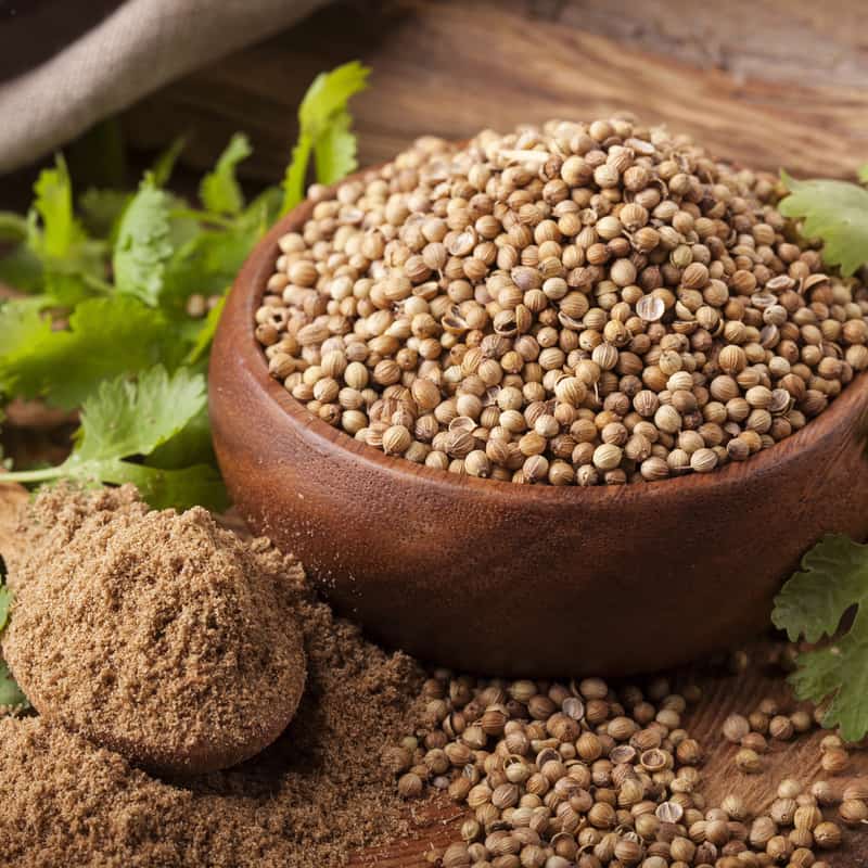 coriander