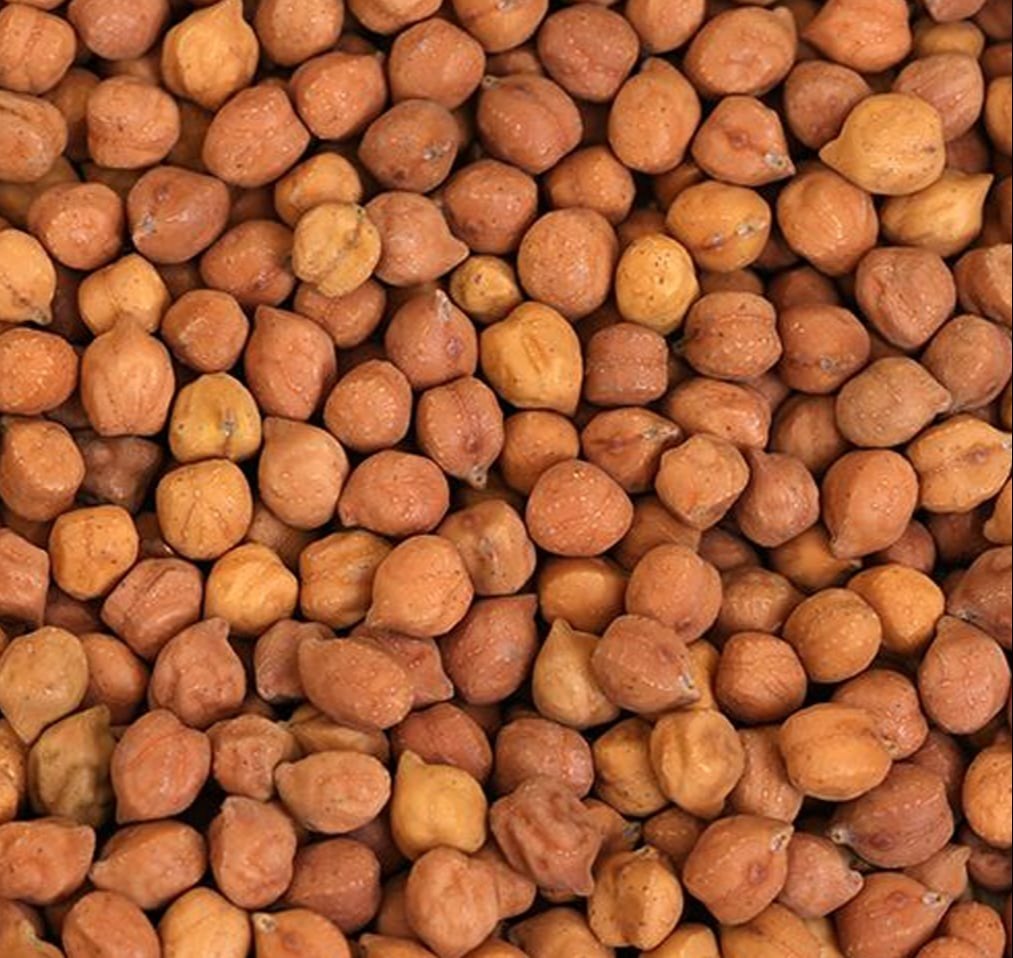 desi chickpea