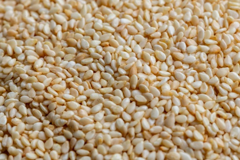 humera sesame