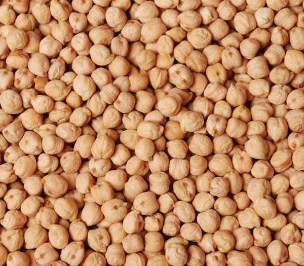 kabuli chickpea