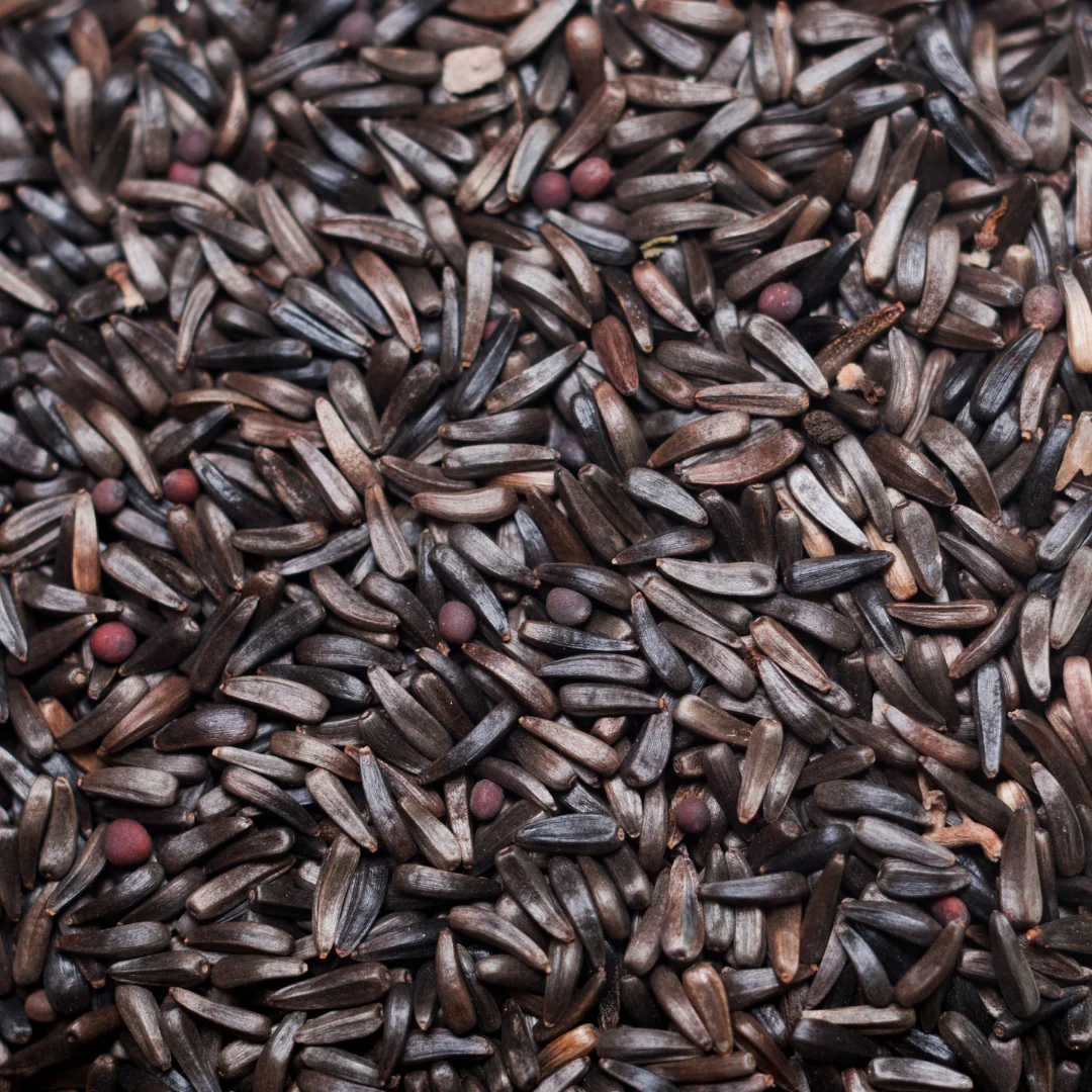 niger seed